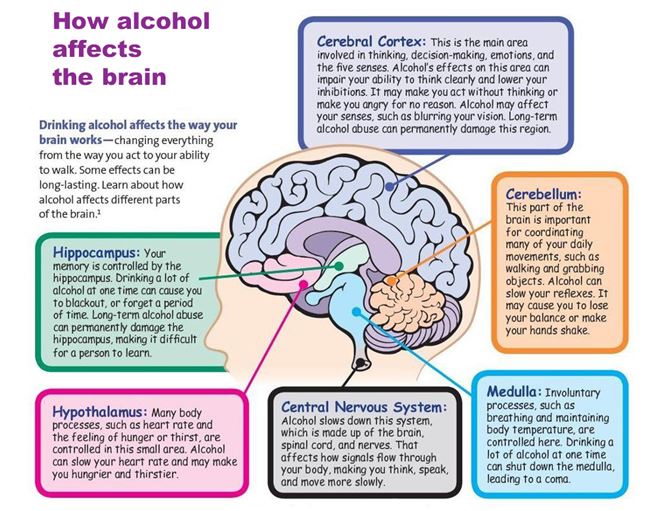 overview of the effects of alcohol on the brain and CNS